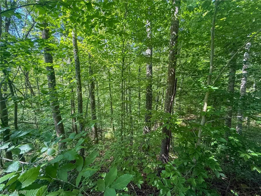 St Rt 555, Chesterhill, OH 43728 - #3