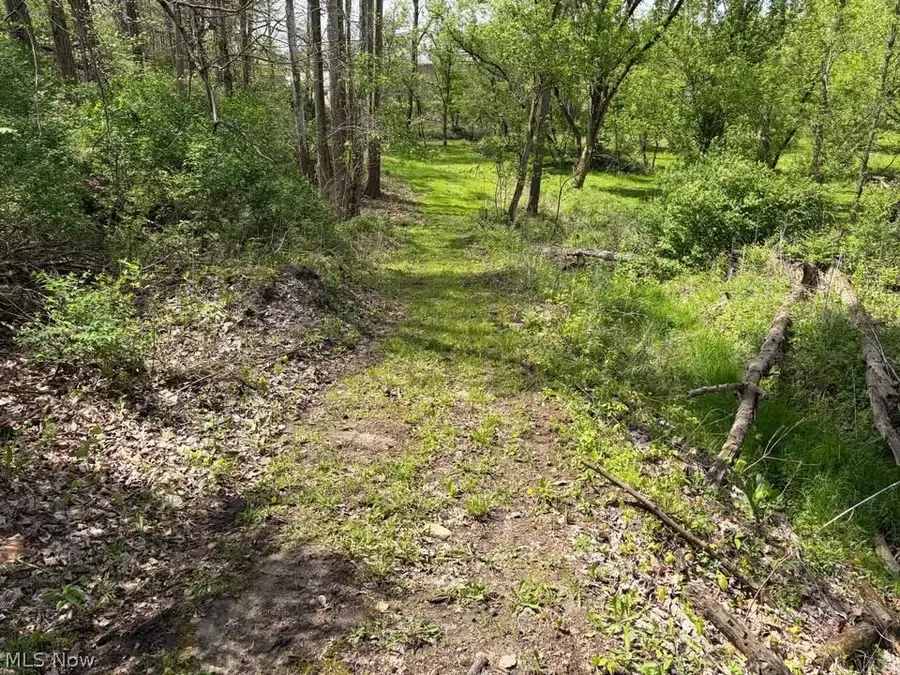 47341 Pitts Road, Wellington, OH 44090 - #2
