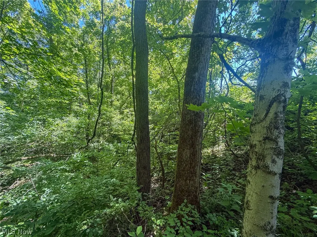 Keffer Rd, Stockport, OH 43787 - #1