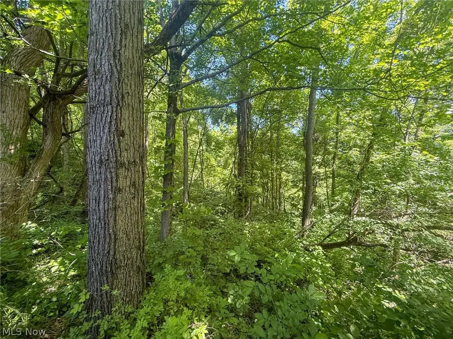 Keffer Rd, Stockport, OH 43787 - #2