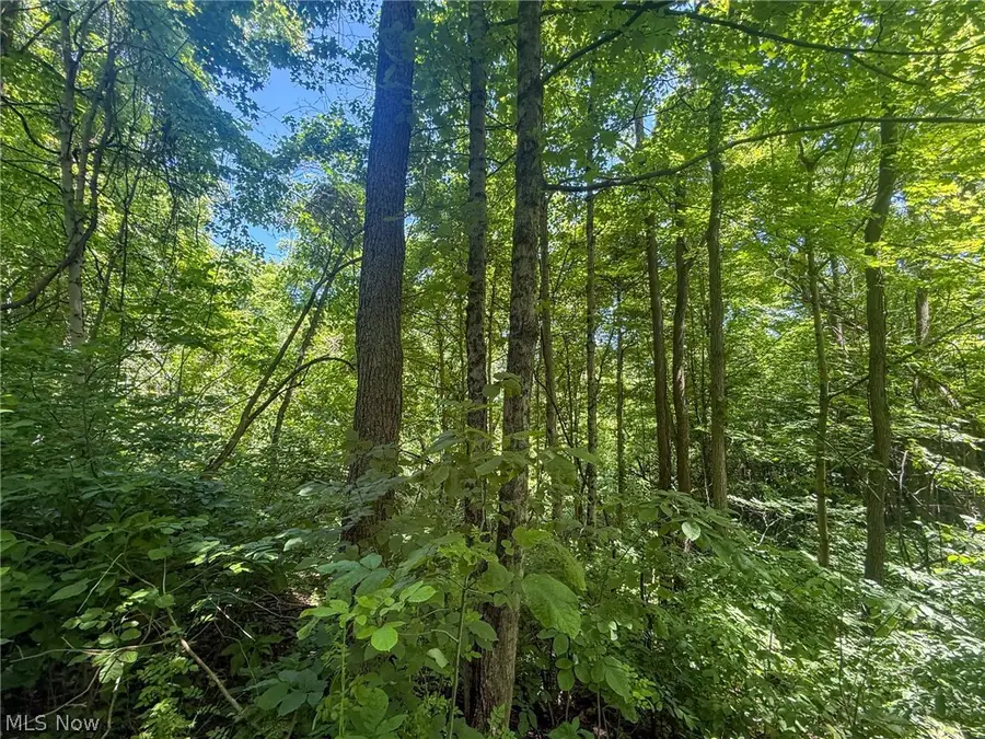 Keffer Rd, Stockport, OH 43787 - #3