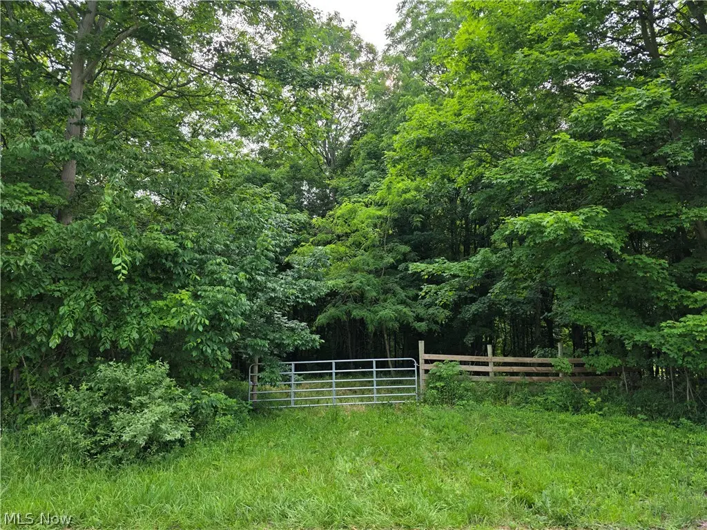 Greenwich Rd / Jamison Rd, Lodi, OH 44254 - #1