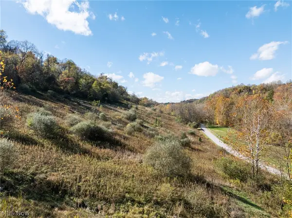 51345 Little Mcmahon Creek Road, St Clairsville, OH 43950