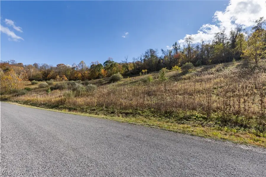 51345 Little Mcmahon Creek Road, Saint Clairsville, OH 43950 - #2