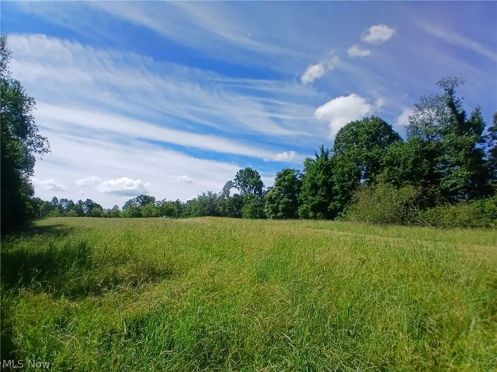 868 Township Road 278, Bergholz, OH 43908 - #1
