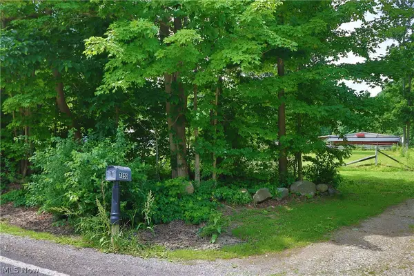 7250 Brakeman Road, Leroy, OH 44077