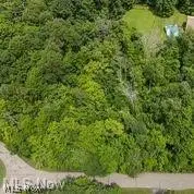Curry Lane, Chagrin Falls, OH 44023 - #3