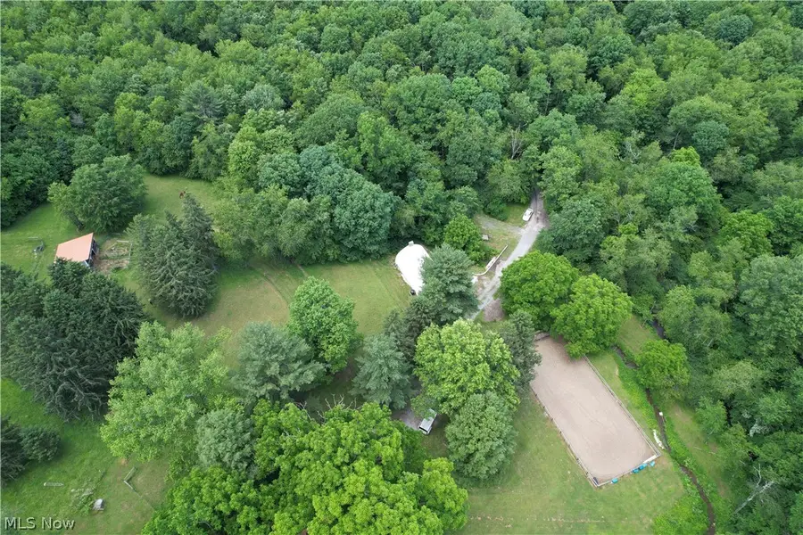 11811 Gaston Road, Negley, OH 44441 - #3