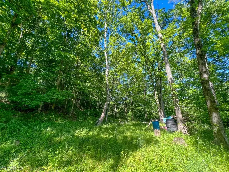 0 County Road 17, Rayland, OH 43943 - #2
