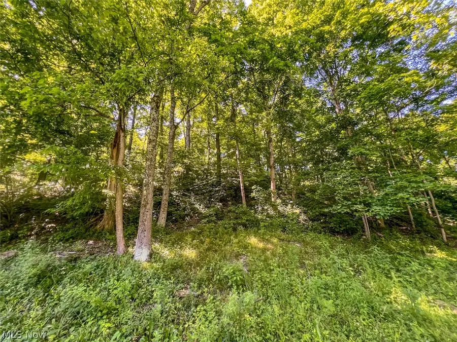 0 County Road 17, Rayland, OH 43943 - #3
