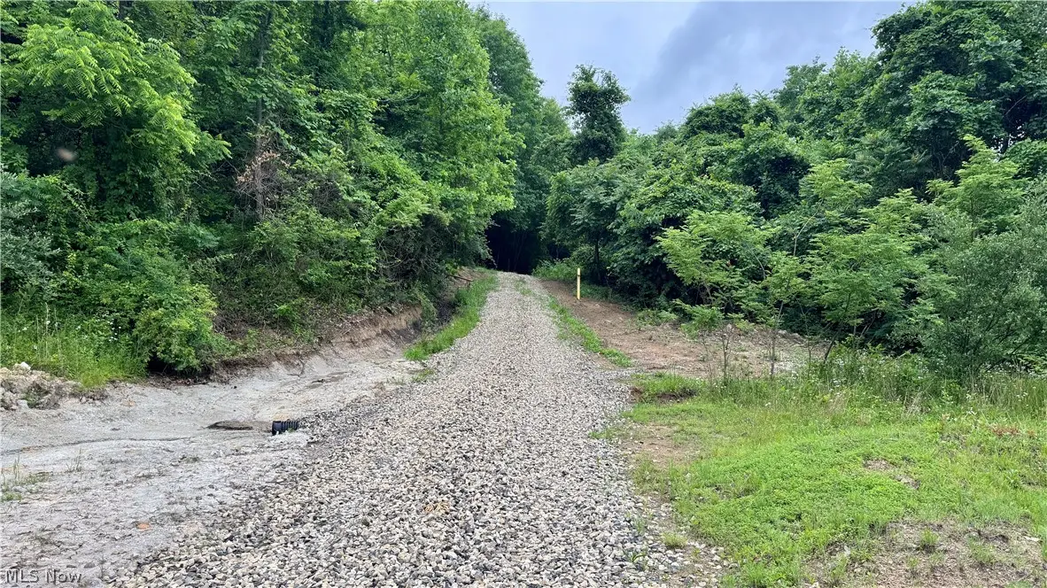 Marlott Run Road, Wheeling, OH 43983 - #1