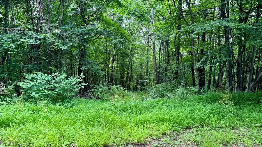 Marlott Run Road, Wheeling, OH 43983 - #2