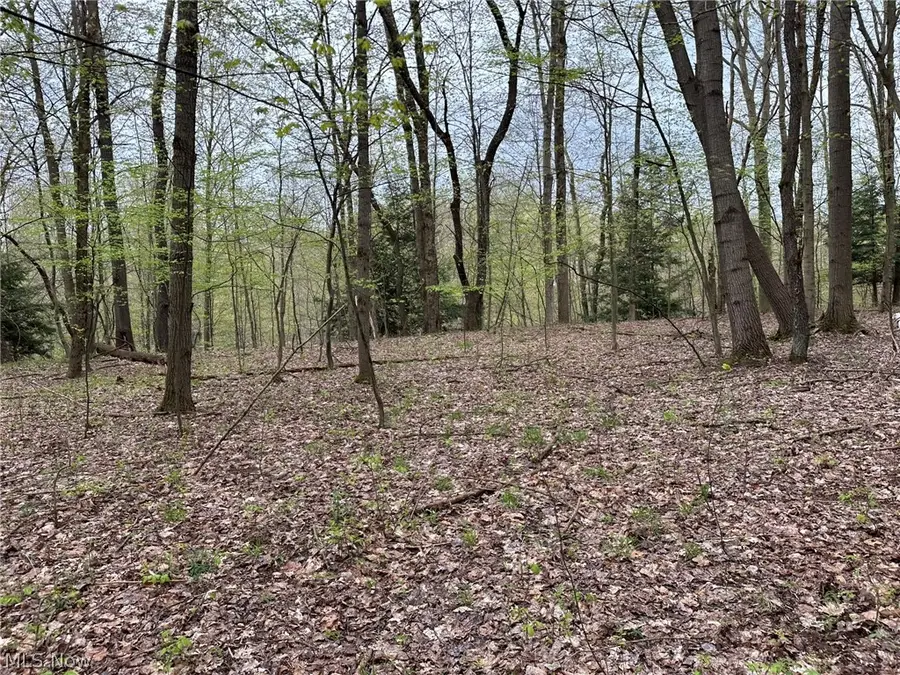 VL Stanhope-kelloggsville Road, Kingsville, OH 44048 - #3