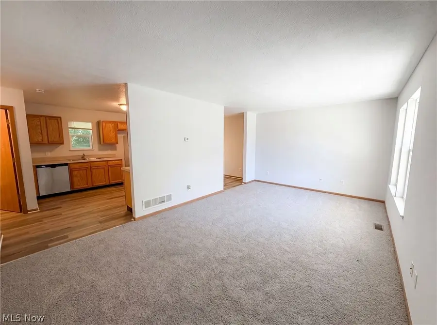 1004 Bellows Street, Akron, OH 44311 - #3