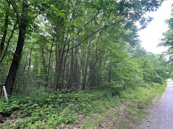 Weaver Road, Conneaut, OH 44030