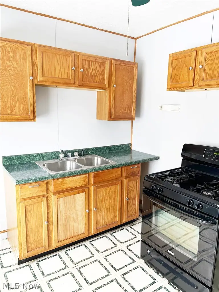 12905 Forest Avenue, Cleveland, OH 44120 - #3