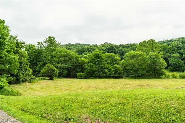 Long Road, Chandlersville, OH 43727