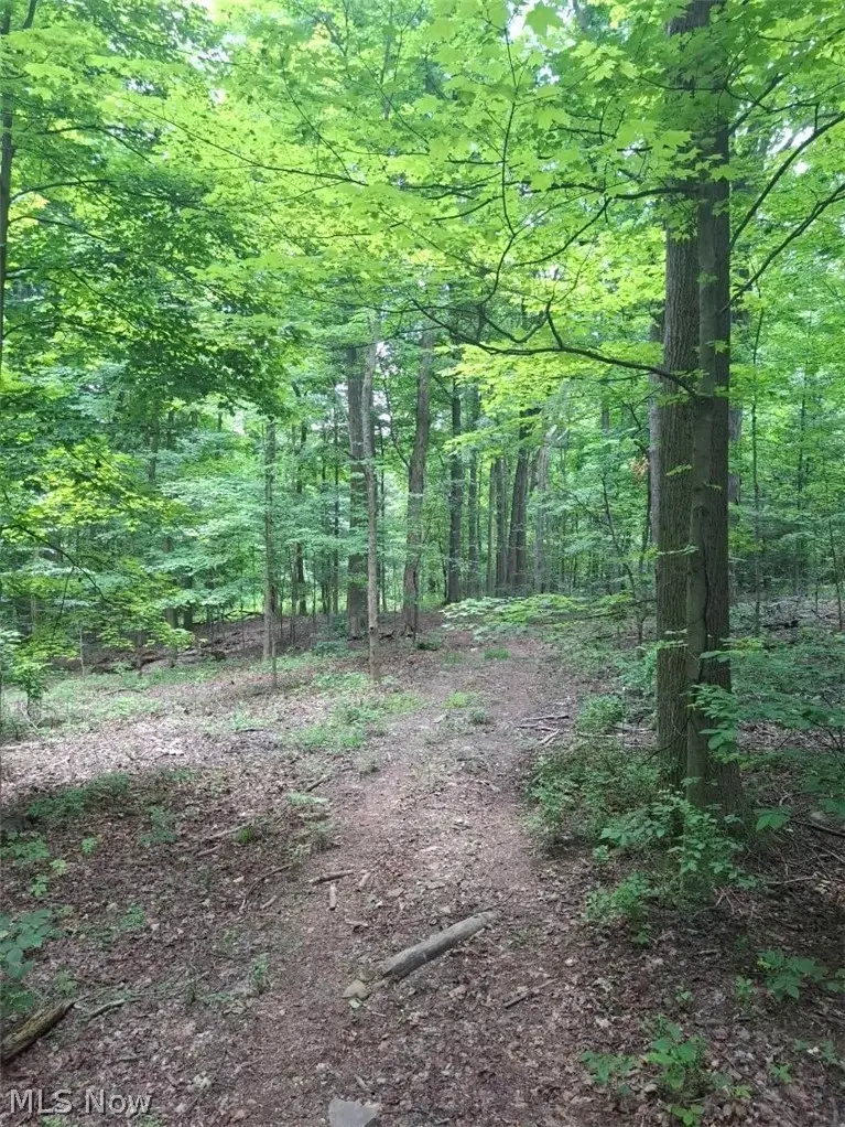 10381 Mulberry Road, Chardon, OH 44024 - #2