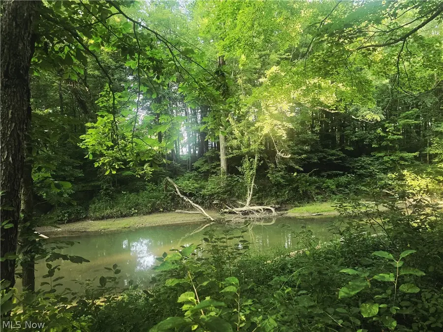 V/L Nelson Mosier Road, Southington, OH 44470 - #3