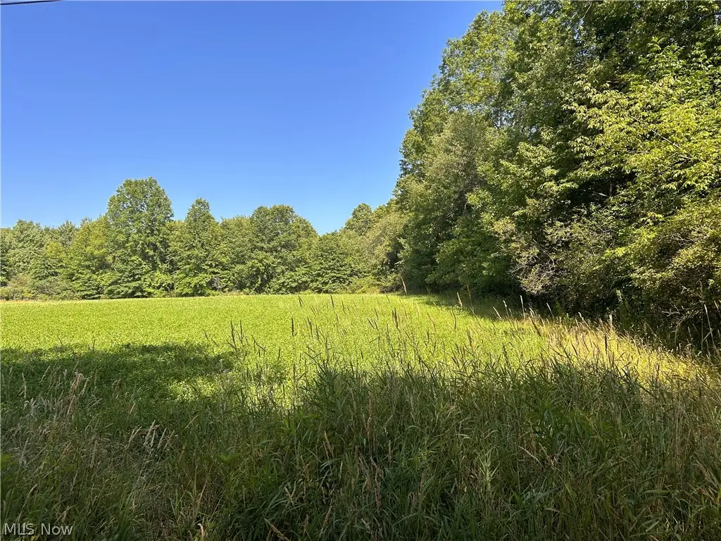 Wilson Lane, Lowellville, OH 44436 - #1