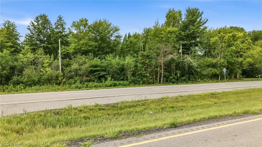 Parkman Road, Southington, OH 44470 - #3