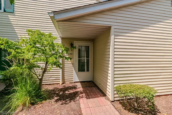 6151 Center Street #203, Mentor, OH 44060
