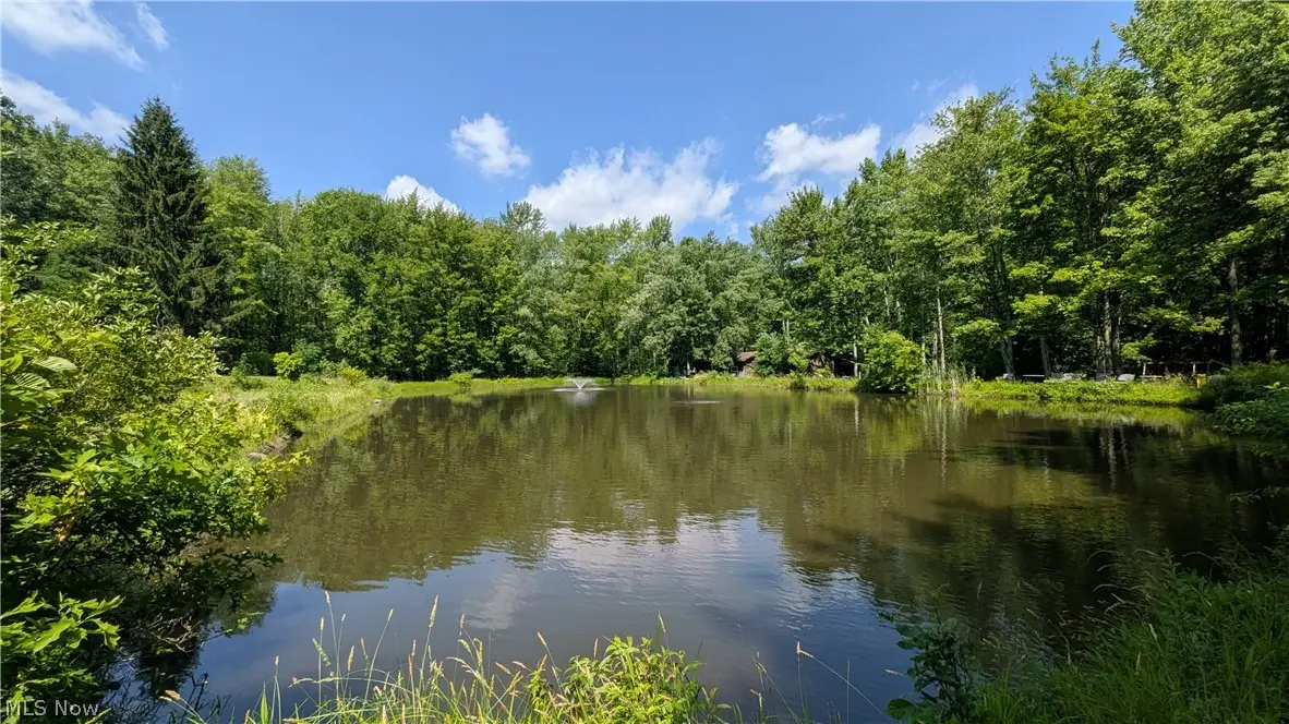 4370 Murphy Road, Thompson, OH 44086 - #1