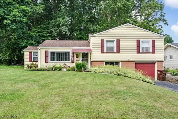 4220 Mill Trace Road, Youngstown, OH 44511