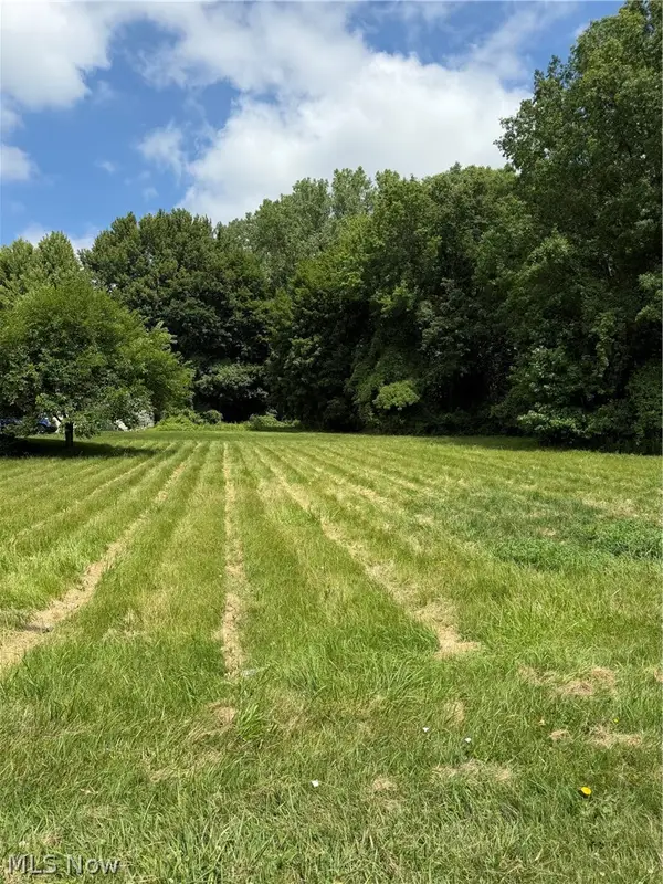 VL Madison Avenue, Painesville Twp, OH 44077