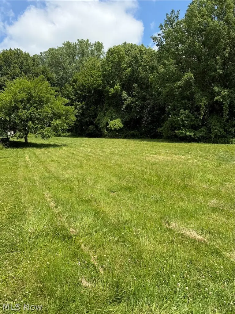 VL Madison Avenue, Painesville, OH 44077 - #2