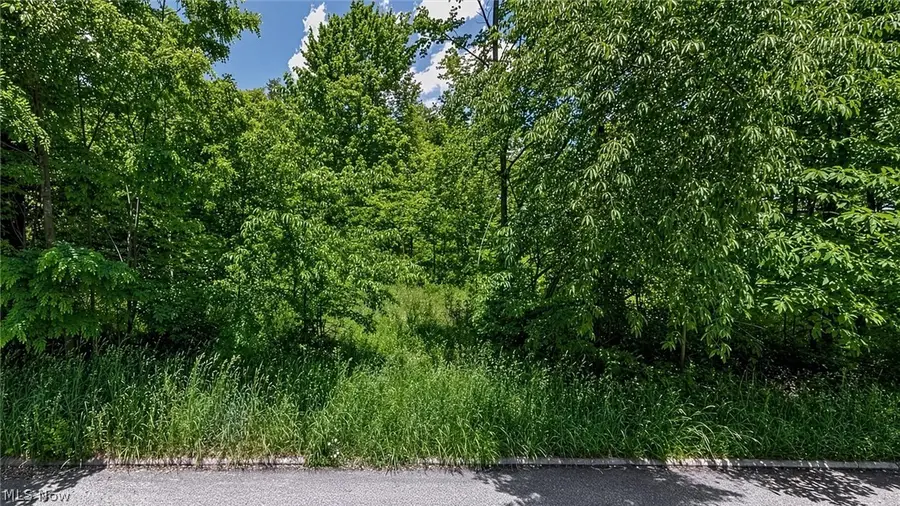 0 Charles Street, Mansfield, OH 44903 - #2