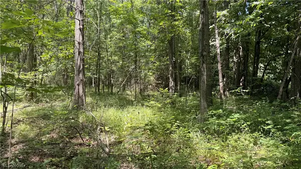 3359 Helsey Fusselman Road, Southington, OH 44470