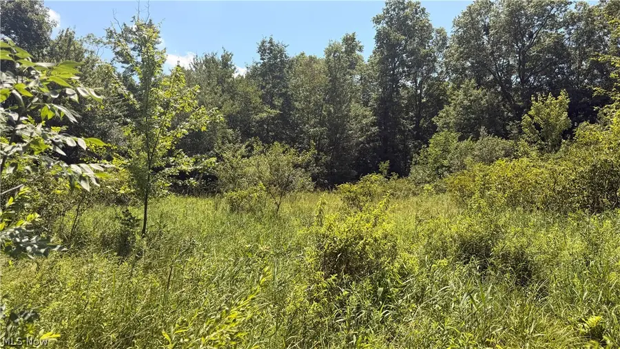 3359 Helsey Fusselman Road, Southington, OH 44470 - #3