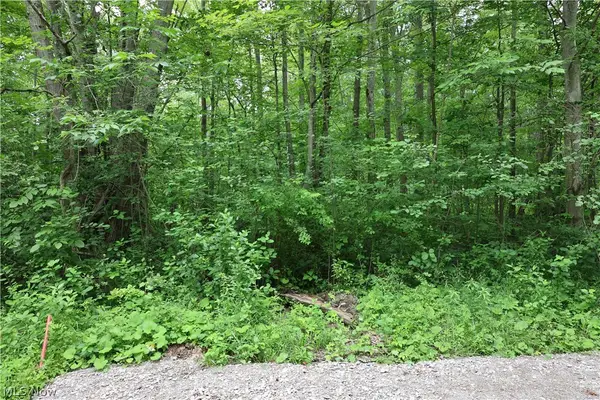 2807 Morningside Avenue, Saybrook, OH 44004