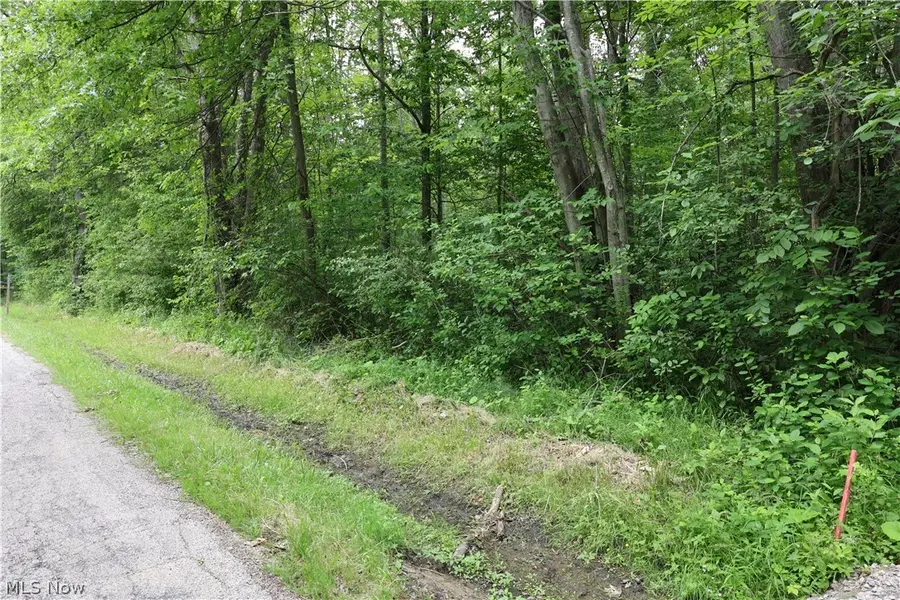 2807 Morningside Avenue, Saybrook On The Lake, OH 44004 - #2