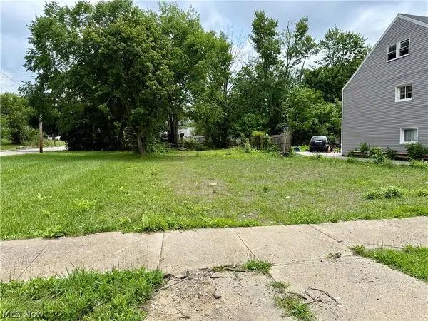 3313 E 126th Street, Cleveland, OH 44120