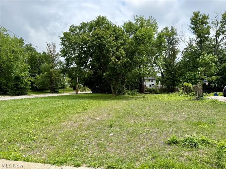 3313 E 126th Street, Cleveland, OH 44120 - #2