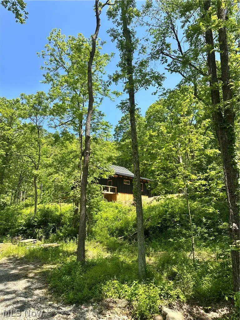 Morton Hill Road, Stafford, OH 43786 - #2