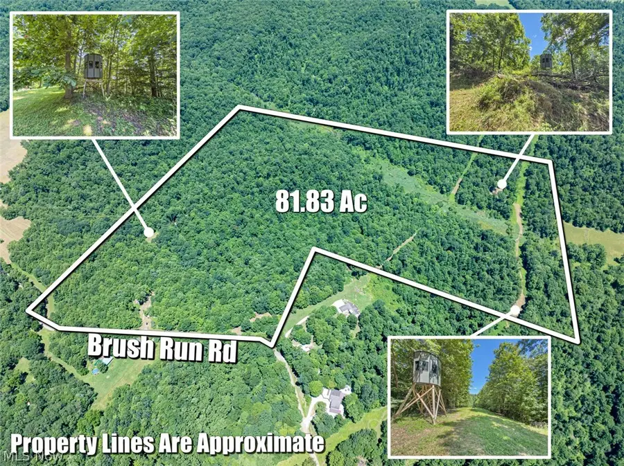 6985 Brush Run Road, Cambridge, OH 43725 - #2