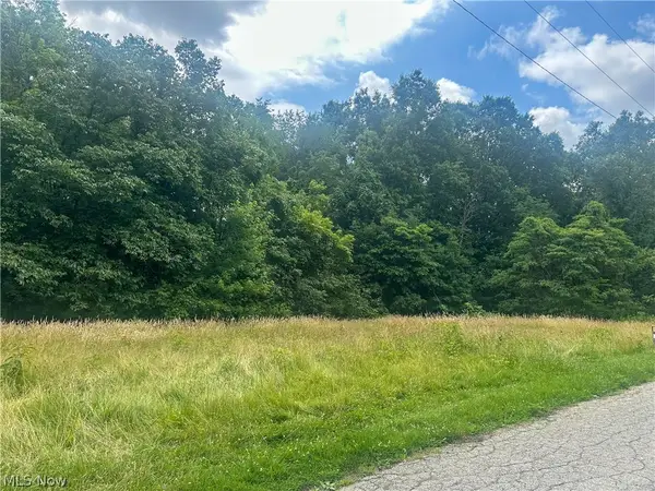 Longwood Avenue, Niles, OH 44446