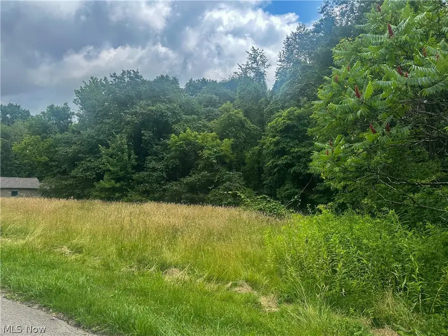 Longwood Avenue, Niles, OH 44446 - #3