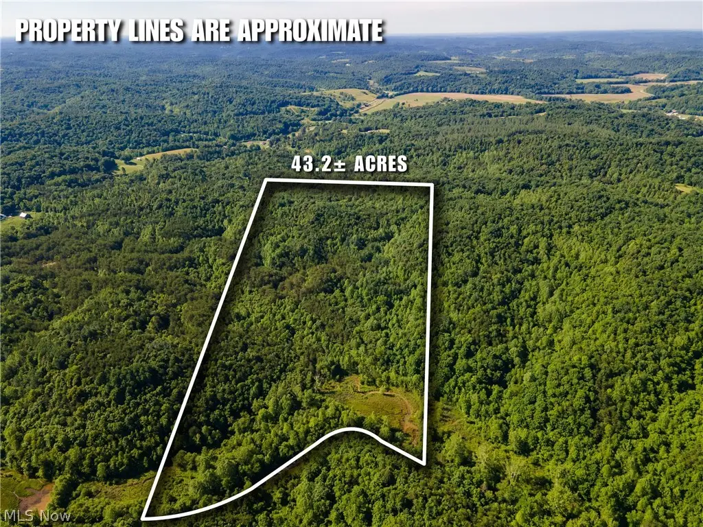 Tract 3 Jake Road, Patriot, OH 45658 - #1