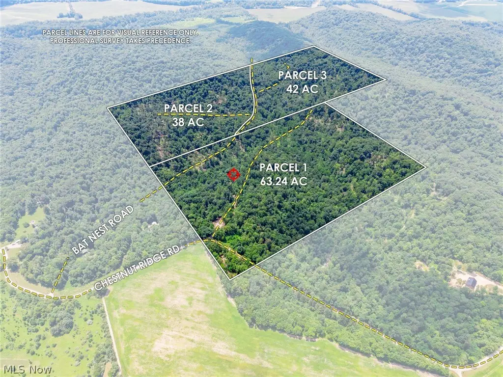 31800 Chestnut Ridge Road, Union, OH 43050 - #1