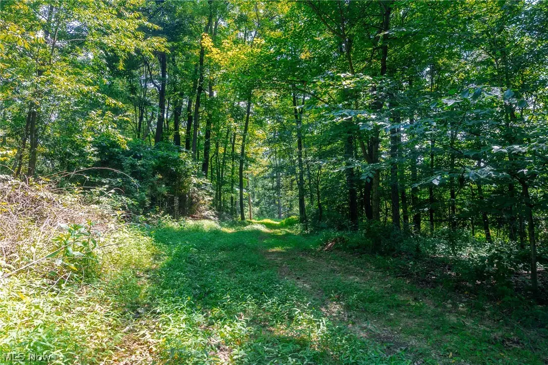 31800 Chestnut Ridge Road #1, Union, OH 43050 - #1