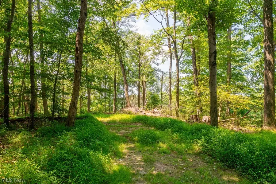 31800 Chestnut Ridge Road #1, Union, OH 43050 - #3