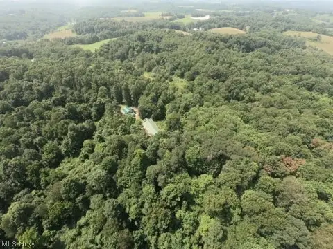 1047 Poinsettia Se Road, Scio, OH 43988