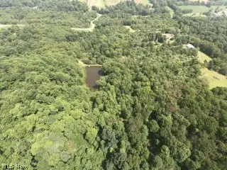 1047 Poinsettia Se Road, Scio, OH 43988 - #3