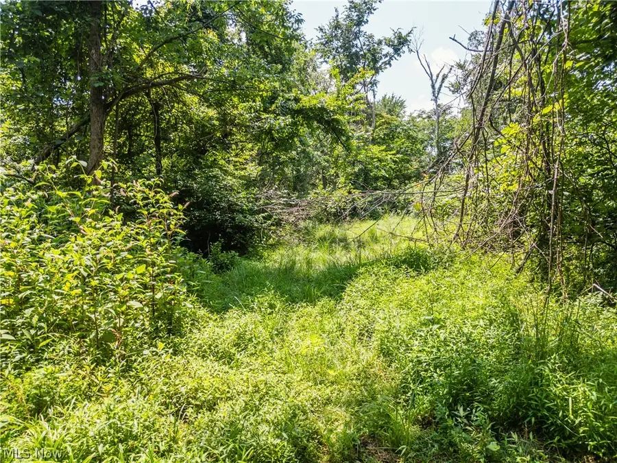 Lot 13 Township Rd 51, Somerset, OH 43783 - #2
