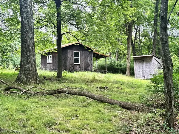 Patriot Road, Carrollton, OH 43903