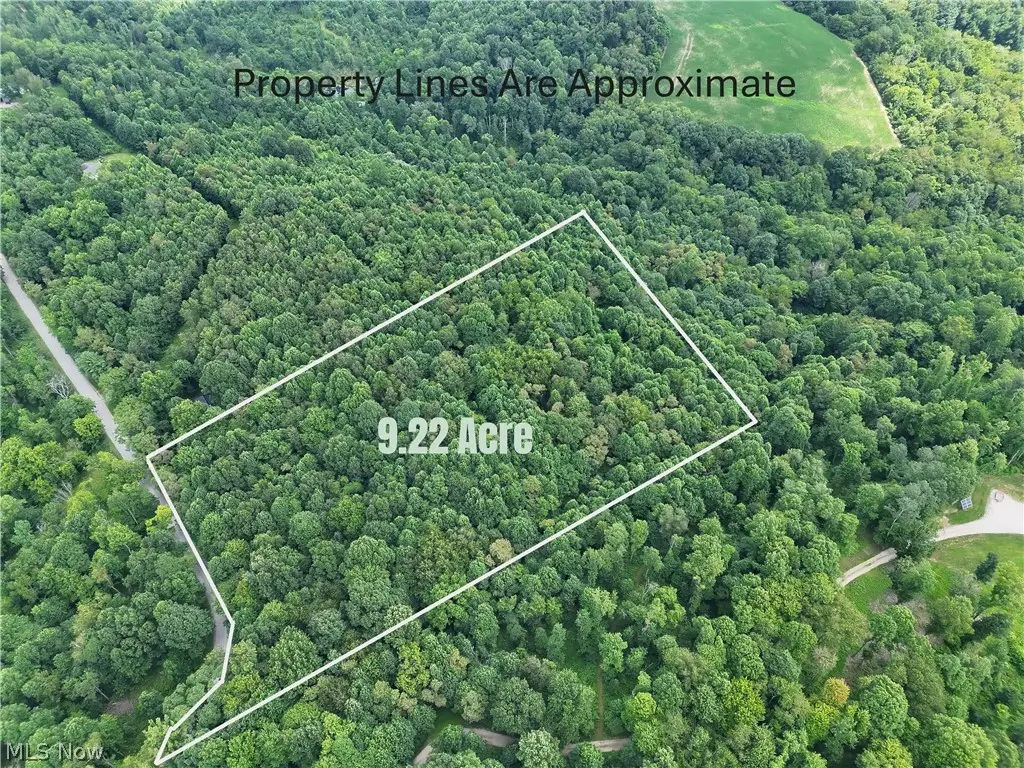 260 Ocelot Ne Road, Salineville, OH 43945 - #1